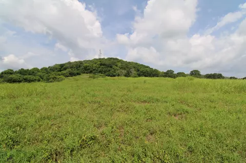 0 Templow Rd, Bethpage, TN 37022 photo 21