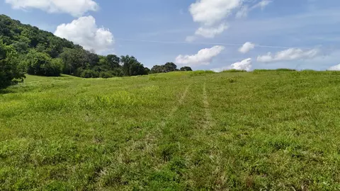 0 Templow Rd, Bethpage, TN 37022 photo 22