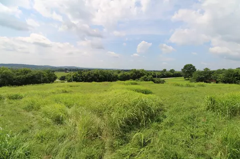 0 Templow Rd, Bethpage, TN 37022 photo 18