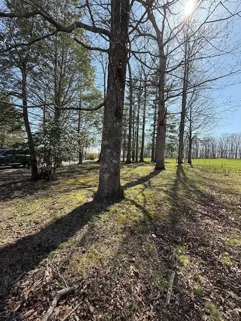 Exterior - 953 Durham Loop, Grandview, TN 37337 photo 3 of 5