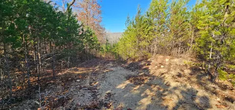 27532 Rhea County Hwy, Spring City, TN 37381