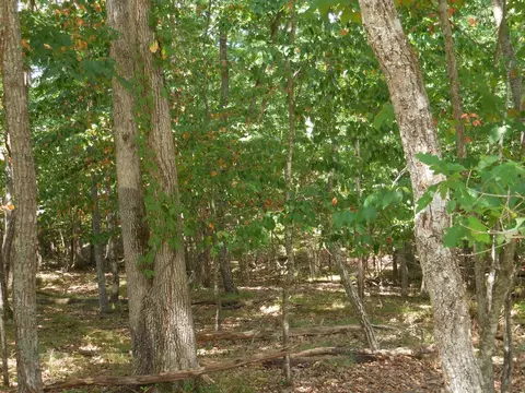 16 Havenridge Ct, Crossville, TN 38558