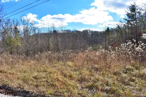 72 Oak Trl, Spring City, TN 37381
