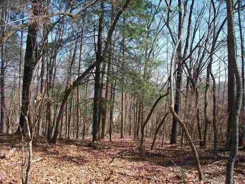 364 Lake Forest Dr, Spring City, TN 37381