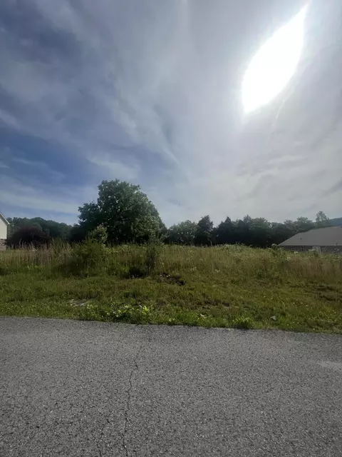32 Mountain Shadow Dr, Evensville, TN 37332