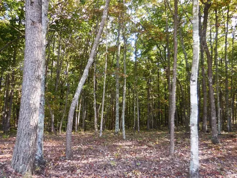 29 Grapevine Rd, Pikeville, TN 37367
