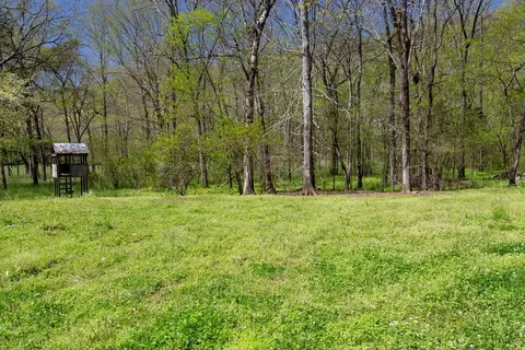115 Cooley, Dunlap, TN 37327 photo 31