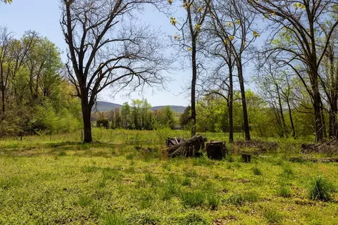 115 Cooley, Dunlap, TN 37327 photo 40