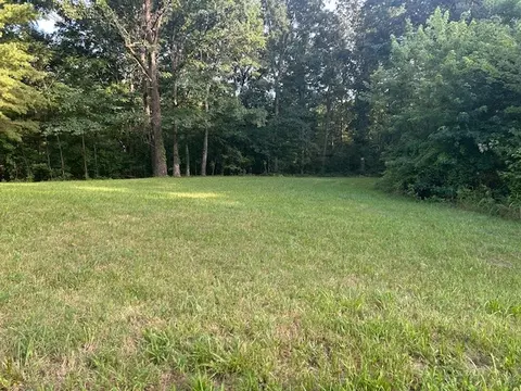 0 Mockingbird Hl, Palmyra, TN 37142