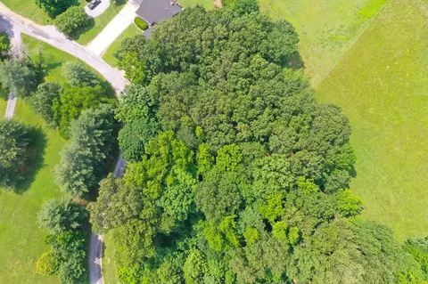 0 Major Wallace Rd, Cadiz, KY 42211