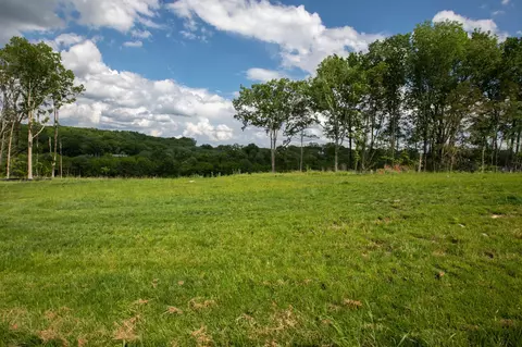 8749 Weller Ln, College Grove, TN 37046
