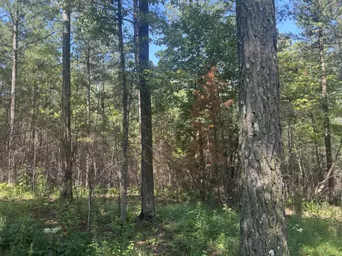 520 Buck Crossing Dr, Guild, TN 37340 photo 7