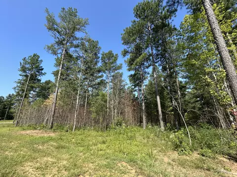 520 Buck Crossing Dr, Guild, TN 37340 photo 12