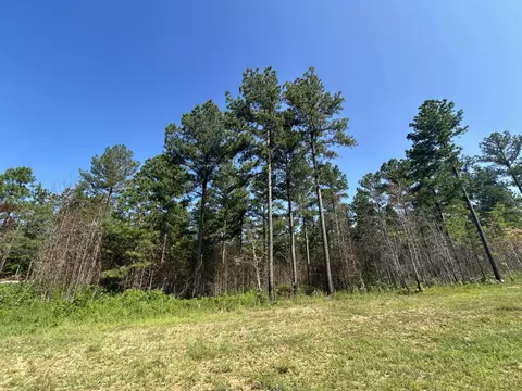 520 Buck Crossing Dr, Guild, TN 37340 photo 3
