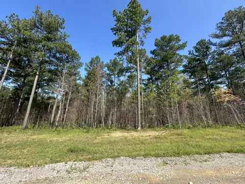 520 Buck Crossing Dr, Guild, TN 37340 photo 4