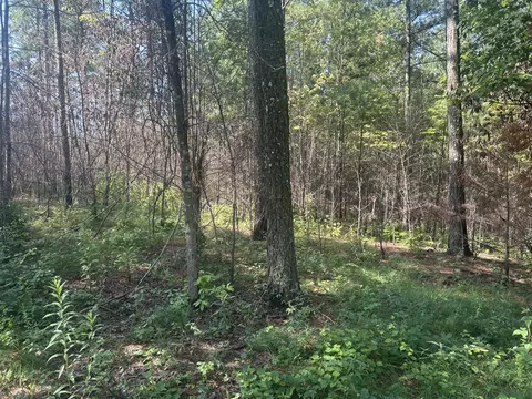520 Buck Crossing Dr, Guild, TN 37340 photo 10