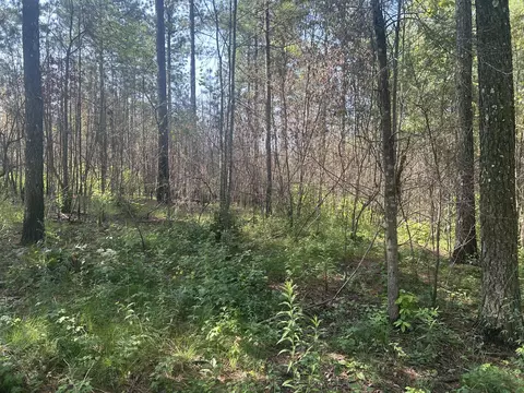 520 Buck Crossing Dr, Guild, TN 37340 photo 11