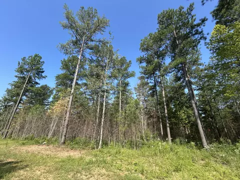 520 Buck Crossing Dr, Guild, TN 37340 photo 5