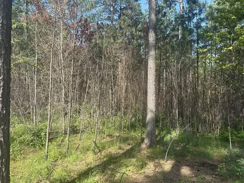 520 Buck Crossing Dr, Guild, TN 37340 photo 6