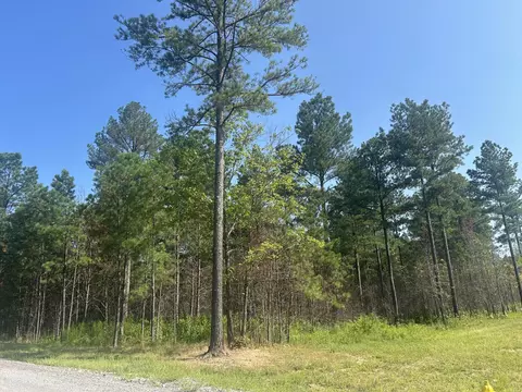 520 Buck Crossing Dr, Guild, TN 37340 photo 2