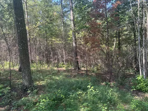 520 Buck Crossing Dr, Guild, TN 37340 photo 9