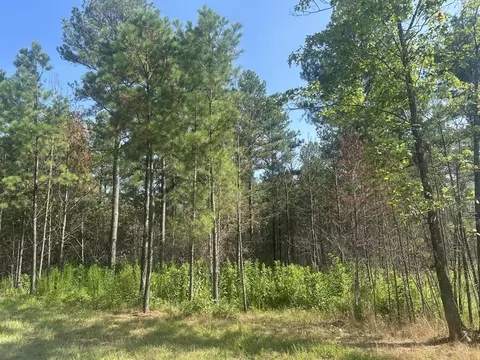 520 Buck Crossing Dr, Guild, TN 37340