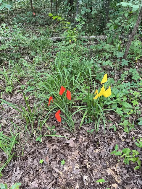 1 S Lick Creek Rd # A, Lyles, TN 37098
