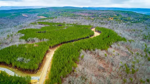 0 Split Rail Way, Guild, TN 37340 photo 48