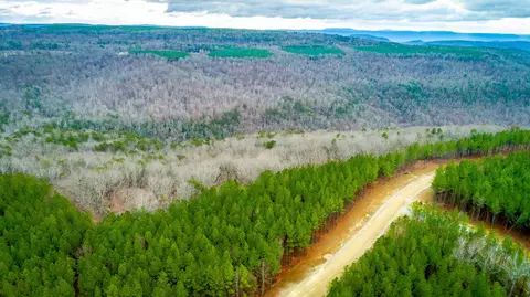 0 Split Rail Way, Guild, TN 37340 photo 51