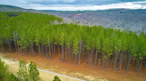 0 Split Rail Way, Guild, TN 37340 photo 64