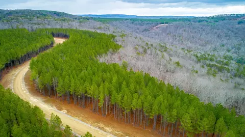0 Split Rail Way, Guild, TN 37340 photo 61