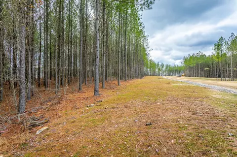 0 Split Rail Way, Guild, TN 37340 photo 18