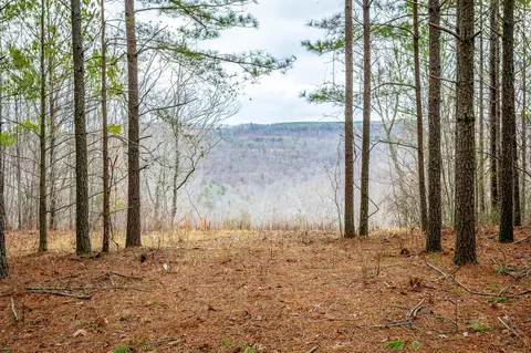 0 Split Rail Way, Guild, TN 37340 photo 10