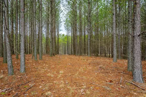 0 Split Rail Way, Guild, TN 37340 photo 15