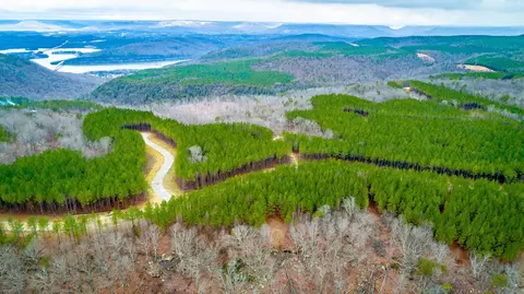 0 Split Rail Way, Guild, TN 37340 photo 45