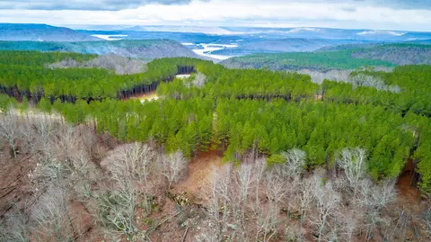 0 Split Rail Way, Guild, TN 37340 photo 60