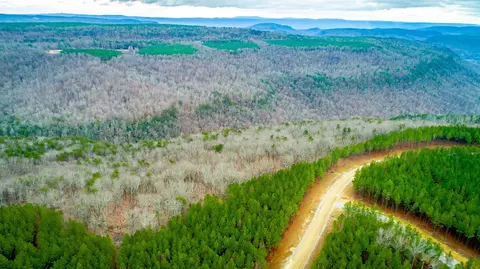 0 Split Rail Way, Guild, TN 37340 photo 38