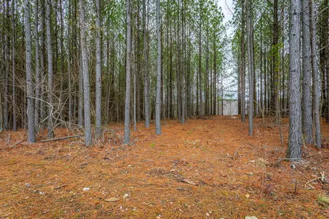 0 Split Rail Way, Guild, TN 37340 photo 12