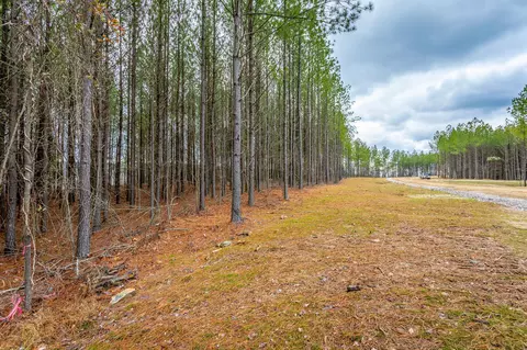 0 Split Rail Way, Guild, TN 37340 photo 16