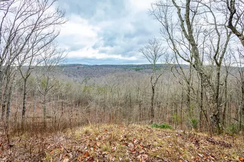 0 Split Rail Way, Guild, TN 37340 photo 7