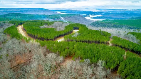 0 Split Rail Way, Guild, TN 37340 photo 55