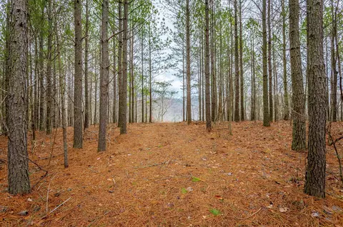 0 Split Rail Way, Guild, TN 37340 photo 13