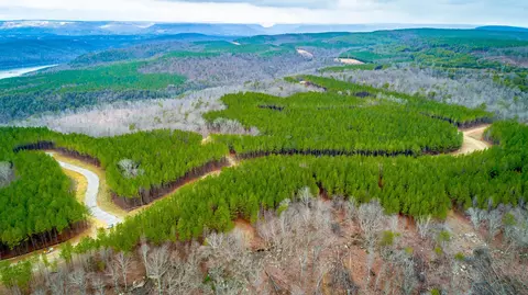 0 Split Rail Way, Guild, TN 37340 photo 46