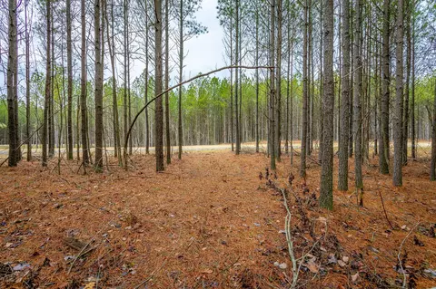 0 Split Rail Way, Guild, TN 37340 photo 23