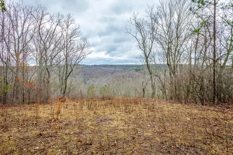 0 Split Rail Way, Guild, TN 37340 photo 9