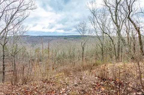 0 Split Rail Way, Guild, TN 37340 photo 5