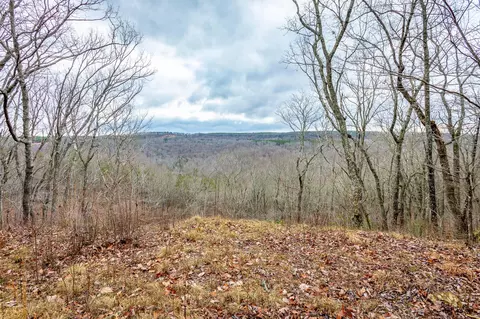 0 Split Rail Way, Guild, TN 37340 photo 3