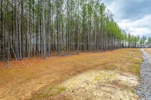 0 Split Rail Way, Guild, TN 37340 photo 17