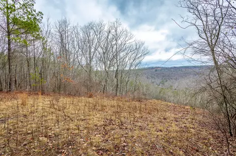 0 Split Rail Way, Guild, TN 37340 photo 2