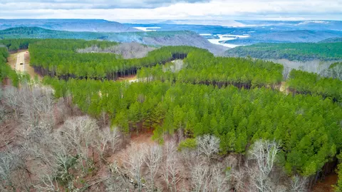0 Split Rail Way, Guild, TN 37340 photo 59